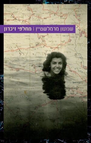 מחלפי זיכרון-0