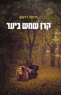 קרן שמש ביער-0