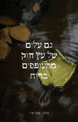 גם עלים של עץ חזק -0