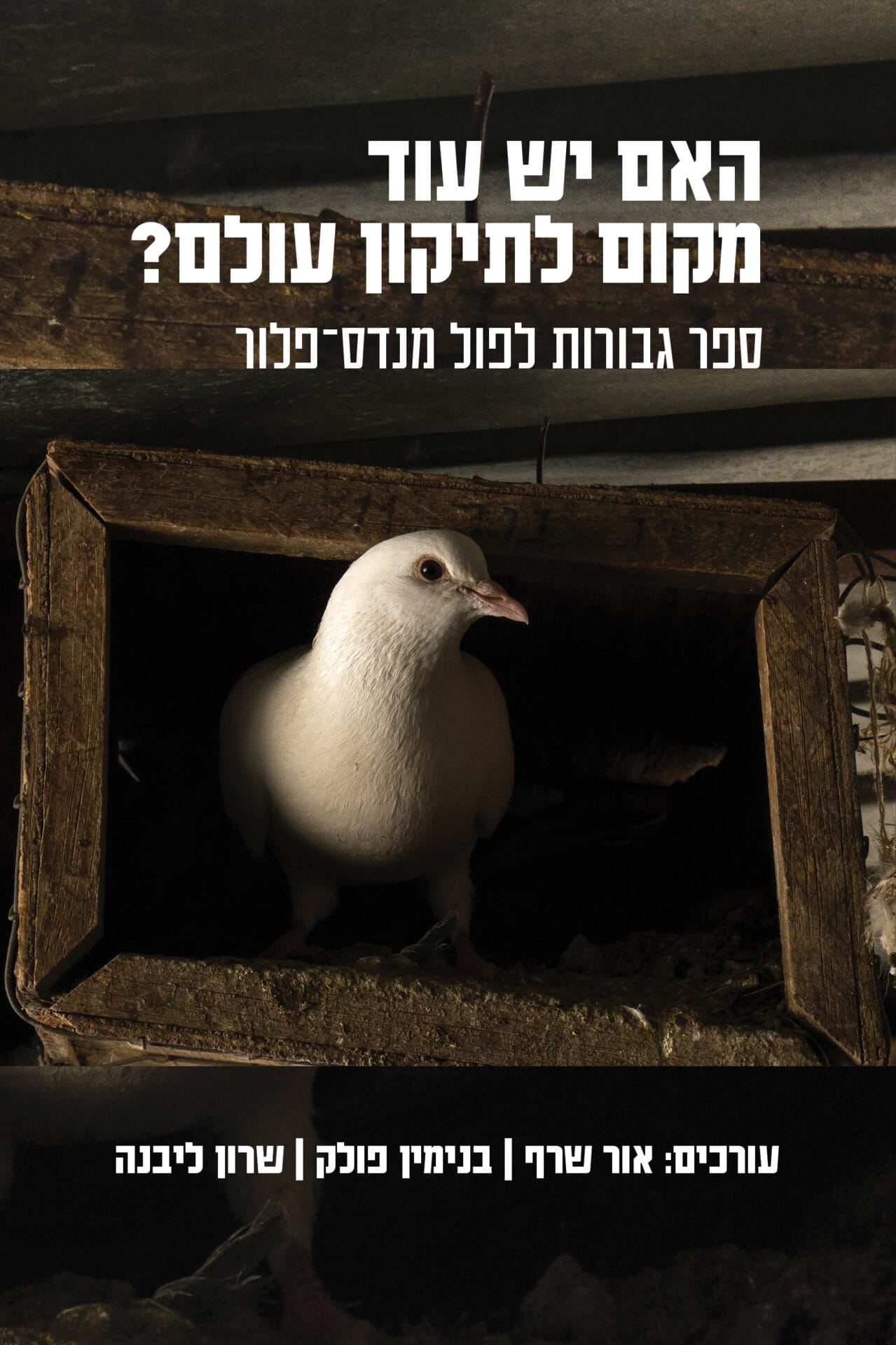 האם יש עוד מקום לתיקון עולם?