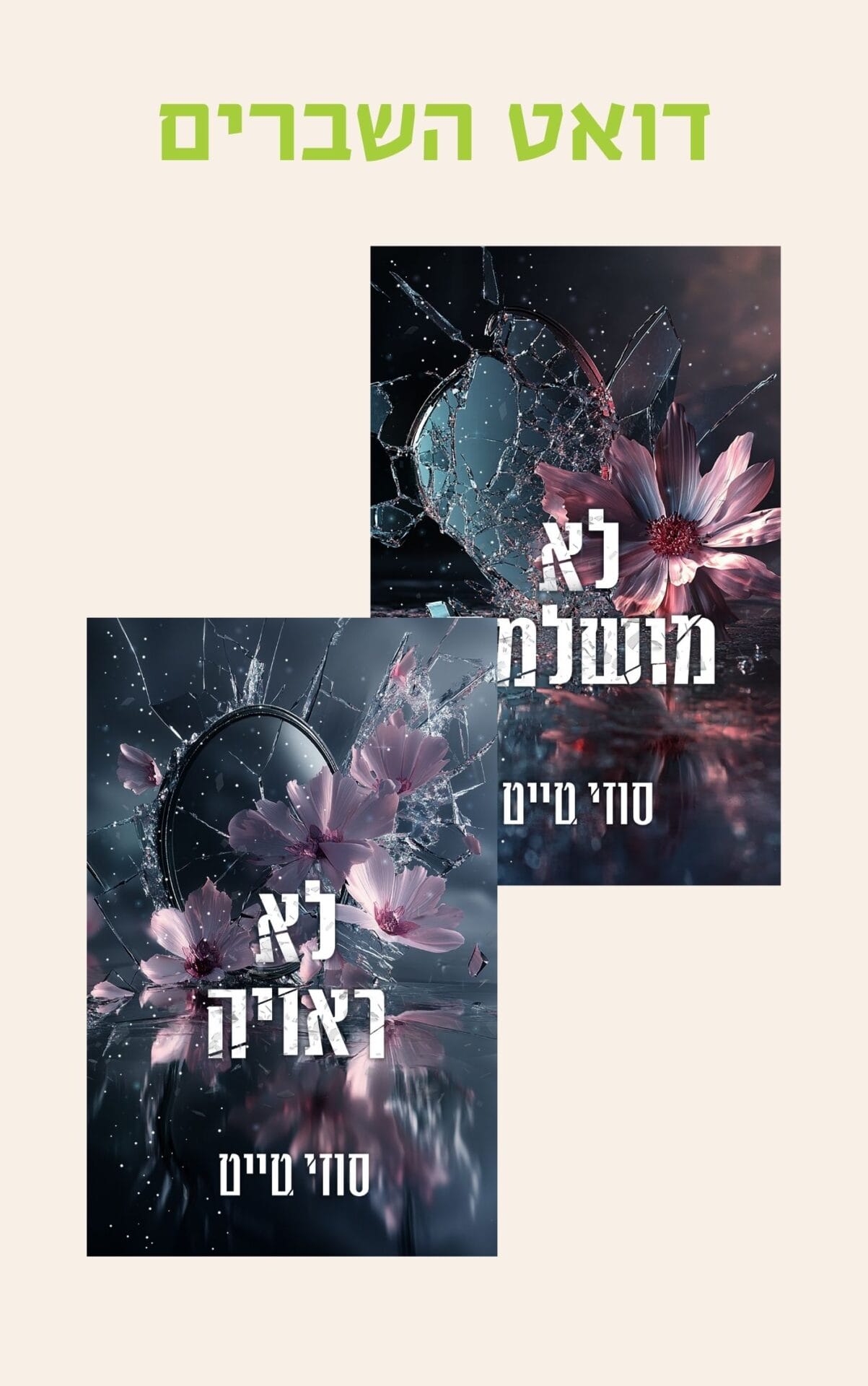 דואט השברים