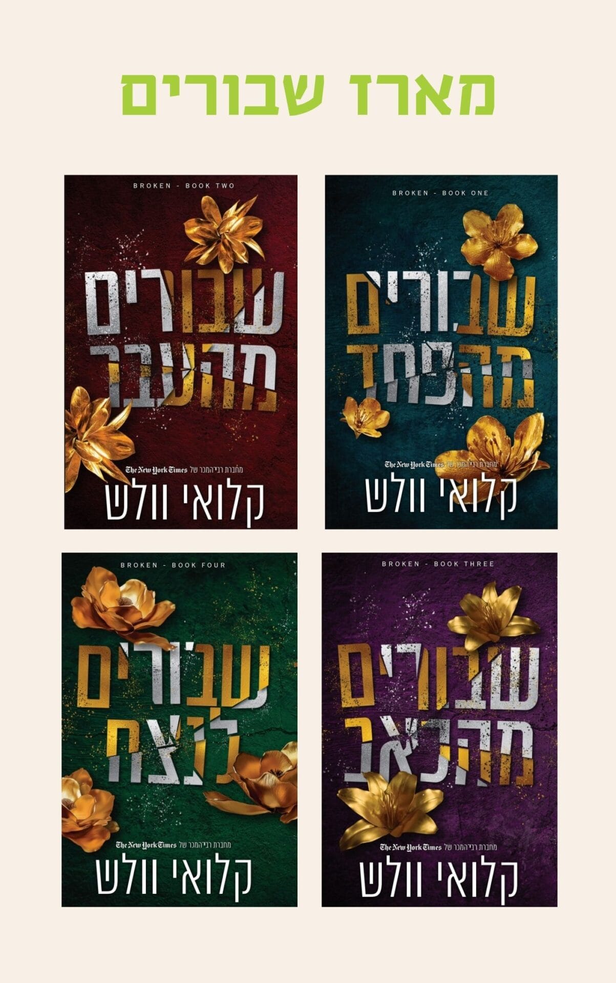 מארז שבורים (1-4)